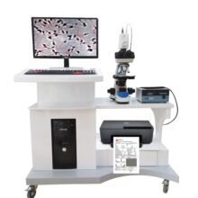 computer assisted semen analysis