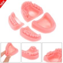 4Pcs/Set Artificial Dental Silicone Oral Teeth Gum Suture Kit Wounds Common Types Of Dental Wounds Dentist Practice