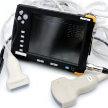 Veterinary Portable Ultrasound Machine in dog/cat/sheep/pig/cow/horse/Bovine/Equine veterinary ultrasound machine