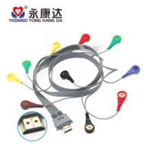 Compatible With Biox 19Pin 10 Lead Wires HDMI Plug Holter ECG Cable IEC