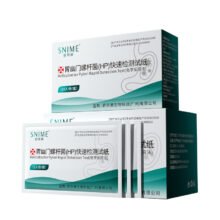 1/10Pcs Helicobacter Pylori HP Test Paper For Stomach Pain And Gastritis Detection Reagent Oral Tartar Saliva Test Quick Test