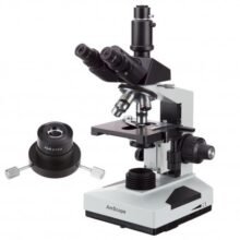 Blood Analysis -Amscope Supplies 40X-2000X Trinocular Compound Darkfield Microscope