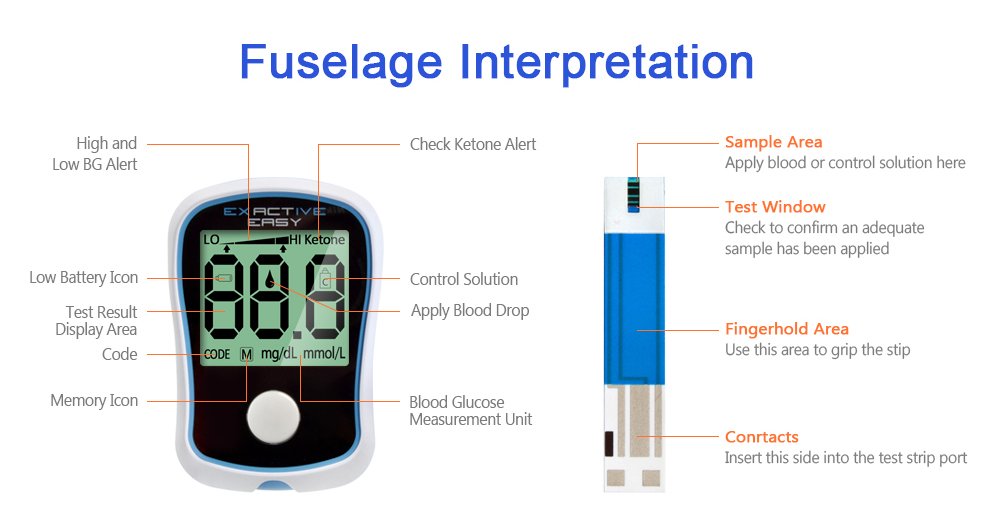 ELERA Blood Glucose Monitor Kit,High Accuracy Code Free Blood Sugar Te —  Elera