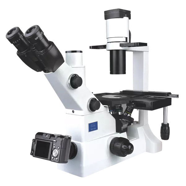 Xd-202 Inverted Biological Microscope