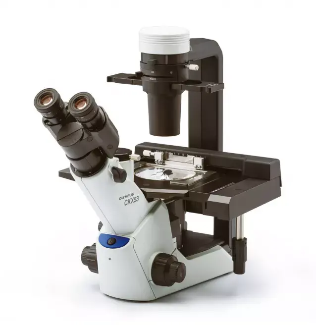 olympus CKX53 laboratory inverted microscope